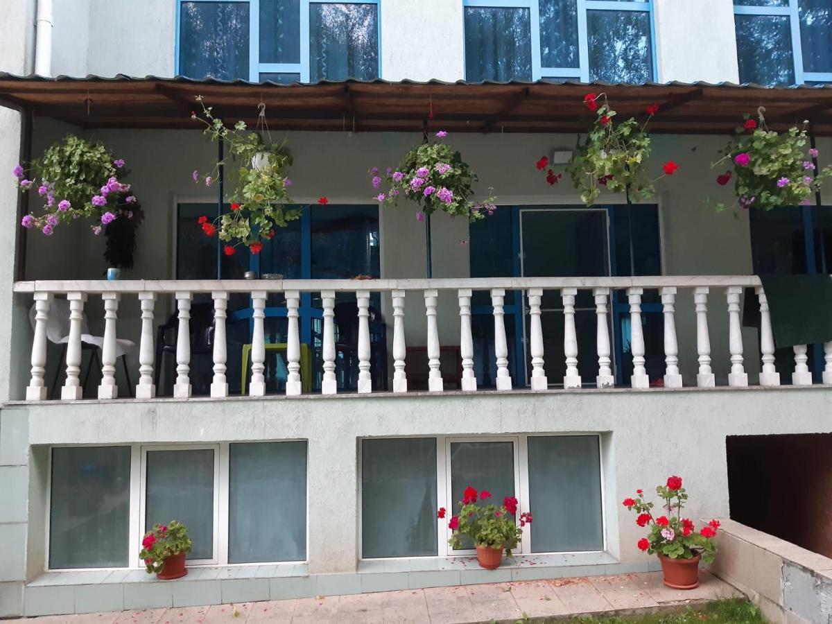 Отель Casa Albastra Drumu Carului Экстерьер фото