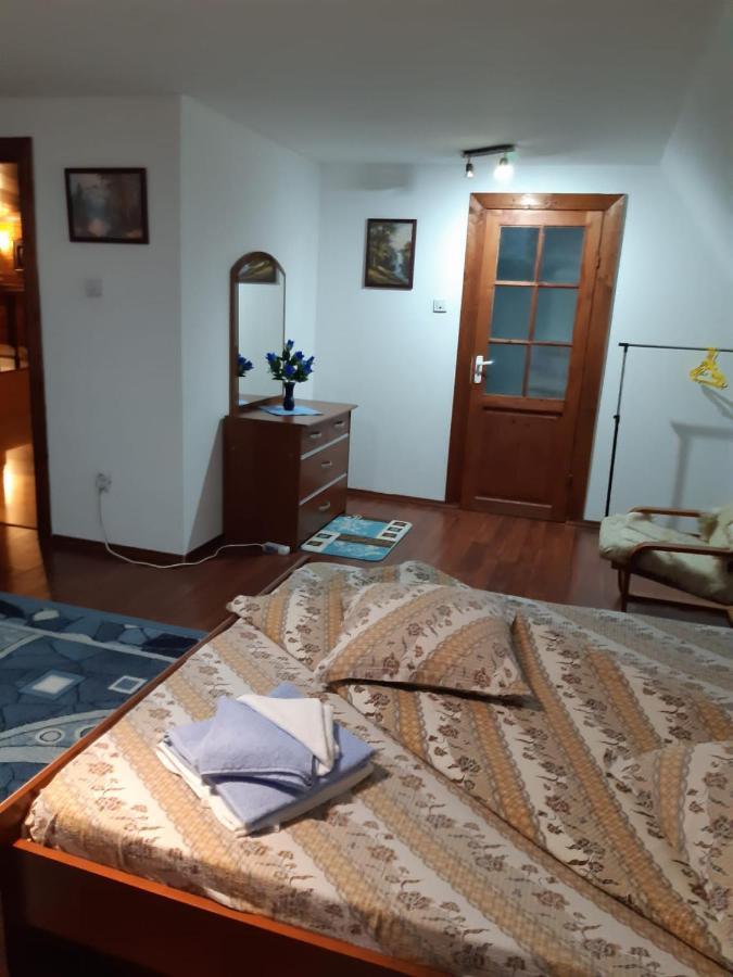 Отель Casa Albastra Drumu Carului Экстерьер фото