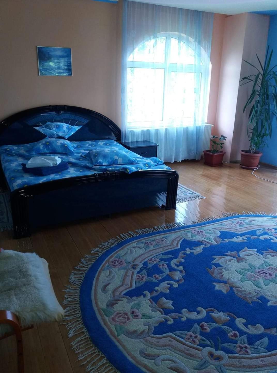 Отель Casa Albastra Drumu Carului Номер фото